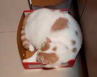 https://images.plurk.com/2MBrQVOWYfluEhPTJVJPOf.jpg