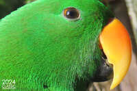 https://images.plurk.com/2MDRnbr33eBT8SdDL1FoYQ.jpg