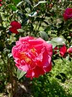 https://images.plurk.com/2MNQCw8RmY5eCIoaJUZ3ob.jpg