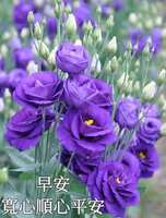 https://images.plurk.com/2MbLmv5Bdg2pQYueSEplpN.jpg