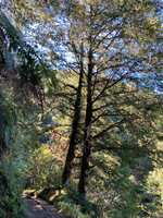https://images.plurk.com/2MgBkSRfBB3vkLdMBsK37g.jpg