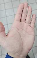 https://images.plurk.com/2MgCW5AfO19aELzrvL9PX2.jpg