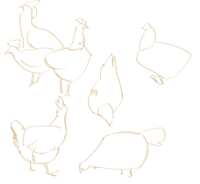 https://images.plurk.com/2Mi4xTcvhh2U7VavIJPPdj.png