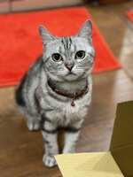 https://images.plurk.com/2MogSgTDhdtpcN574KQda0.jpg