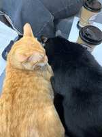 https://images.plurk.com/2N7zqelm4ya0o0lbvAH8dK.jpg