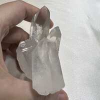 https://images.plurk.com/2N9kcantL4bJrdIie21cSK.jpg