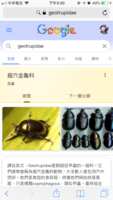 https://images.plurk.com/2ND4sWQqjkajPcnNbvzSXp.png