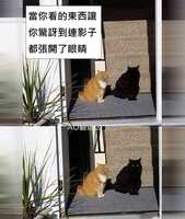 https://images.plurk.com/2NF7SxBlGNF0kSJLrhyDbV.jpg