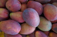 https://images.plurk.com/2NFFmptBfxVLkpRNS1BtP5.jpg