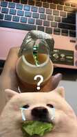 https://images.plurk.com/2NFwQvymZZpoYFZtKPRVlJ.png