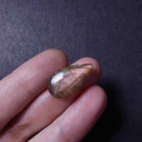 https://images.plurk.com/2NGXiK6qegg6ZwmR5NFRl3.jpg
