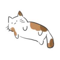 https://images.plurk.com/2NMg19qsCrmKSi7mtUQyCN.png