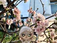 https://images.plurk.com/2NWWxlkameH3QbK5e7rgRT.jpg