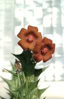 https://images.plurk.com/2NWniD3zoVB69NwyZfsqD2.jpg