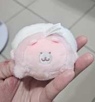 https://images.plurk.com/2NXjqtcgsbzrSe6EvKvLxP.jpg