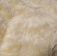 https://images.plurk.com/2NXpWLTLJbHfqcoLKEr7Qg.jpg