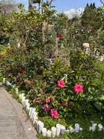 https://images.plurk.com/2NbNpWv7fmLRDj3ARqBUIN.jpg