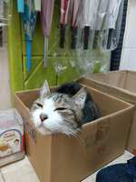 https://images.plurk.com/2NgwooV2rbKPzby1Sfr44i.png
