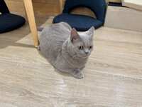 https://images.plurk.com/2O8j1XYRDLwYdtjM3G6juv.jpg