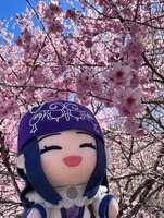 https://images.plurk.com/2OBNYeUDTwYYaBLumFatIm.jpg