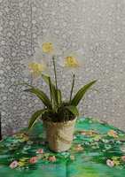 https://images.plurk.com/2ODbfTsR1CJTsXjqgvdAuL.jpg