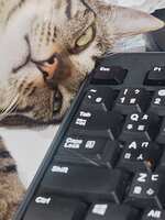 https://images.plurk.com/2OK3lLXgqNoHKLxYwZHfJQ.jpg