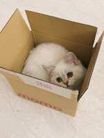 https://images.plurk.com/2OO2TRhUeSDvPb2gBE0LCd.jpg