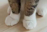 https://images.plurk.com/2OU4VU9ZNJCg7bwGFEEvfz.jpg