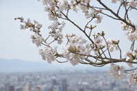 https://images.plurk.com/2OVc3BIHmrM3fE1j2Ipkzn.jpg