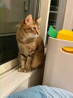 https://images.plurk.com/2OlJTUJZLkVJbcY8hocyYM.jpg