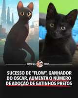 https://images.plurk.com/2OqKxO7C7uKLQIGplOKHzU.jpg