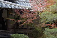 https://images.plurk.com/2OupFDgsDPSqL5DheLo5yI.jpg