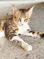 https://images.plurk.com/2P0kX6Oi1zUDDdlucDUbAA.jpg
