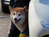 https://images.plurk.com/2PQLYpy3GRlKxYj8HuTCgP.jpg