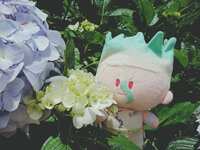 https://images.plurk.com/2PSH0O2bsPrWJgH9lff9eg.jpg
