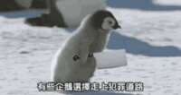 https://images.plurk.com/2PaC3Z7F5AkPfxpCQqCHC7.gif