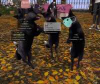 https://images.plurk.com/2PeMnCwh4AXJEGRNNR8PuC.gif