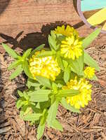 https://images.plurk.com/2PjF00DPKiB2FgQV3zsB96.jpg