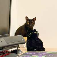 https://images.plurk.com/2PjG2cW7rj7TMcdtJLkx8N.png