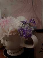 https://images.plurk.com/2Pm66x2jYlcY6DCtF19p61.jpg
