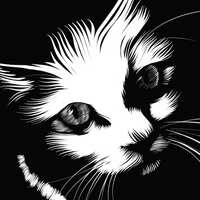 https://images.plurk.com/2Pn3ve5MWcCx3ZKCdNpqNP.jpg