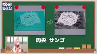 https://images.plurk.com/2PoCORF5mHK2C7PVKEazO0.png