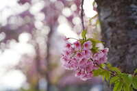 https://images.plurk.com/2PqmSU6n6mo1EsAaXiqzXi.jpg