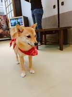 https://images.plurk.com/2PsFPwGr8dIpkctbcAETmP.jpg