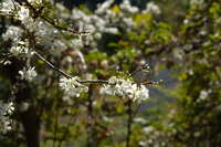 https://images.plurk.com/2PwaWE91hZSbAY969tTdI7.jpg