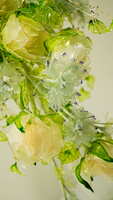 https://images.plurk.com/2Q19AeliU2yg4xD9441qEG.jpg