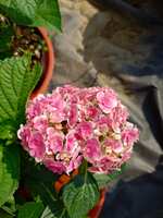 https://images.plurk.com/2Q2107aF6DOmnxuqxz5IF8.jpg
