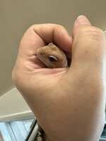 https://images.plurk.com/2Q3gIUp9gOe9OZF552hxXF.jpg