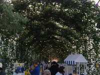 https://images.plurk.com/2Q72f4jxRQJ2RCNQSJVdE9.jpg