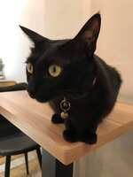 https://images.plurk.com/2QAoC9cd5yX8kzGLr6VSFs.jpg